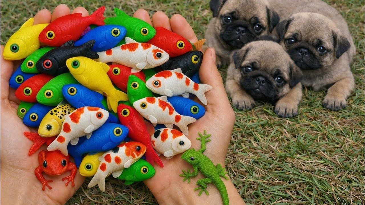 Realistic Moment of Colorful Toy Fish and Adorable Puppies 