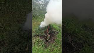 Дым -Коктейль Из Сотен Токсичных Веществ