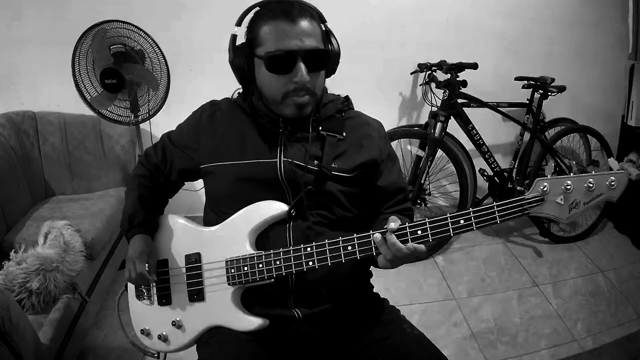 Toy Dolls - Dig that groove baby / Bass cover