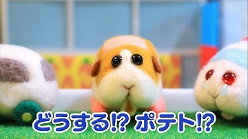 TVアニメ「PUI PUI モルカー」第1話　渋滞はだれのせい？　予告