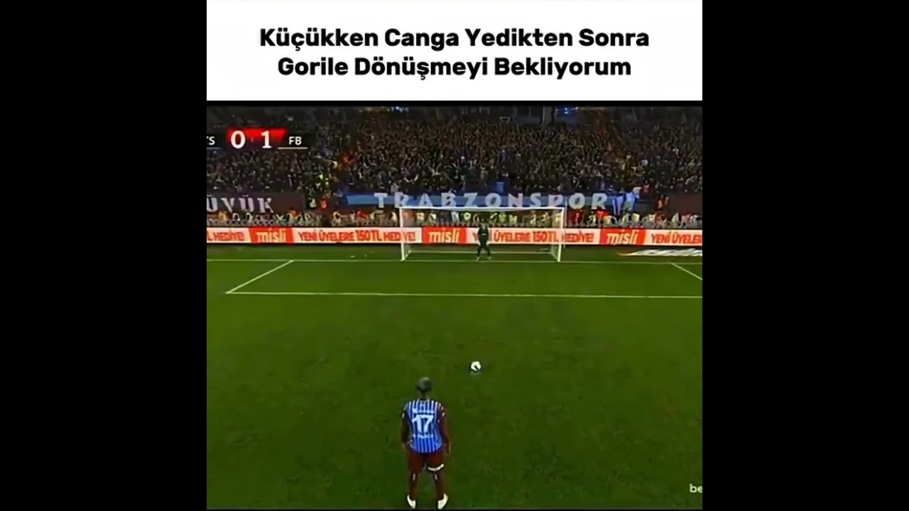 Video Fikri Bana Ait Değildir 