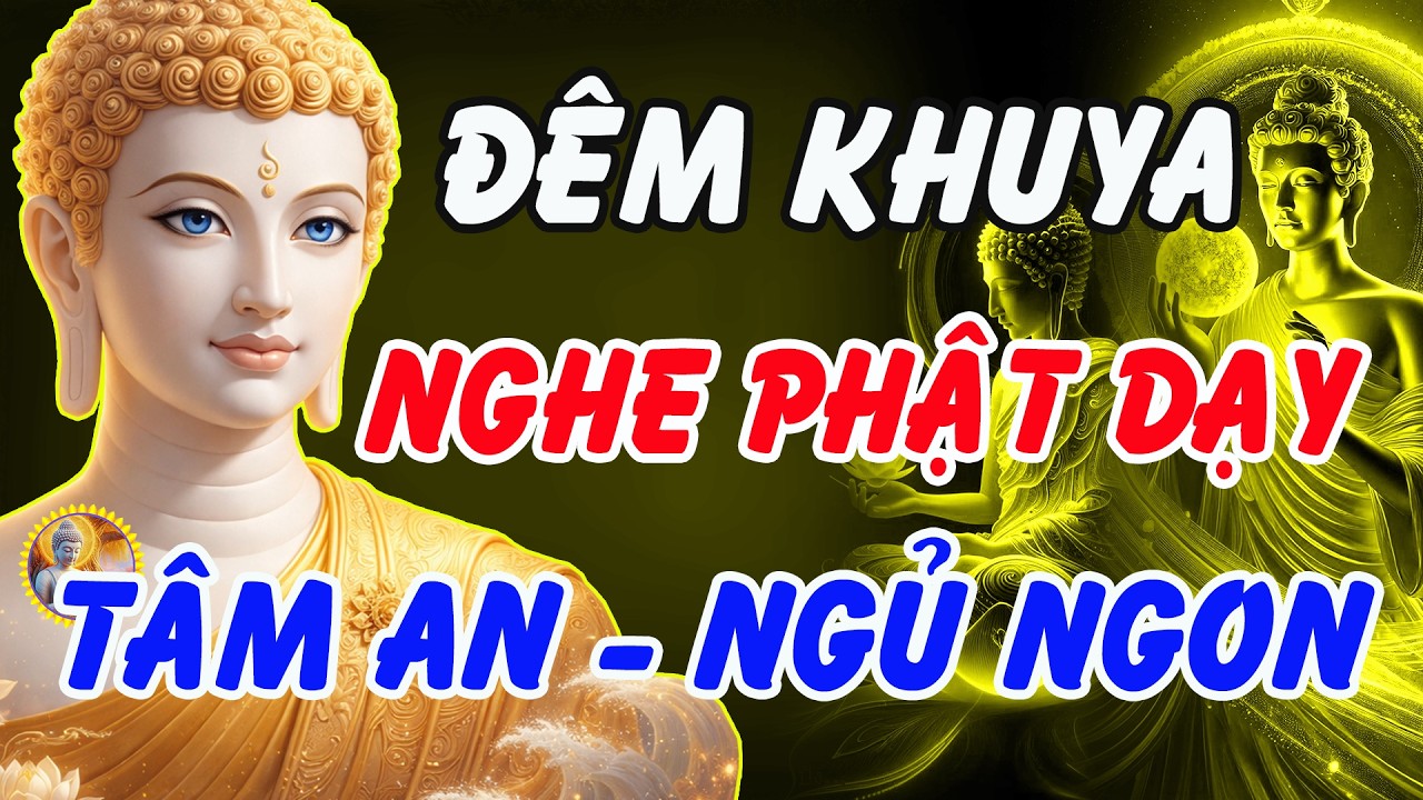 Đêm Khuya Nghe Lời Phật Dạy – 5 Phút Buông Bỏ Phiền Muộn, Tâm An Nhiên Ngủ Ngon