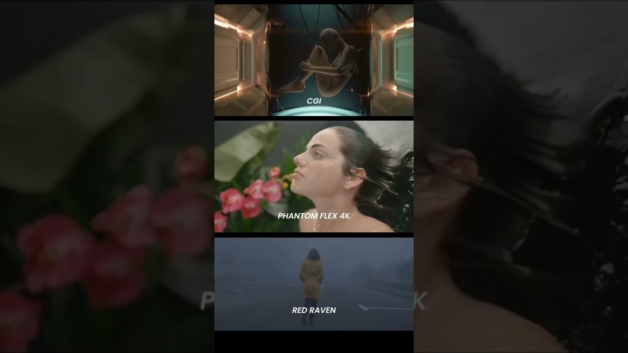 The power of color grading#shorts #color #colorgrading