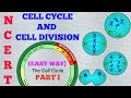 CELL CYCLE AND CELL DIVISION (EASY WAY) / NCERT/ PART 1