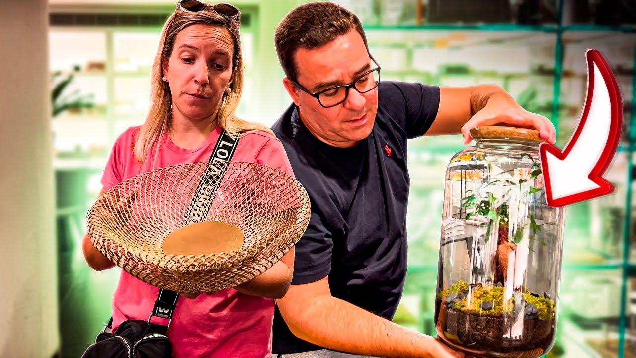 NOVO PET NA CASA NOVA