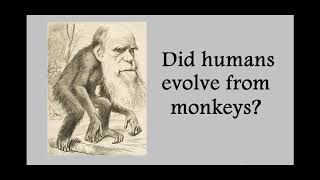 [Wikipedia] Non-Darwinian Evolution
