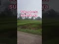 Tolong bantu subscribe komen like #shortvideo #sawah #trending #fypシ゚viral #dangdut