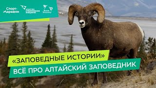 Всё про Алтайский заповедник