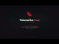Weekly Watermelon Soup - February 15, 2026 (AI News For Finance/CPAs)
