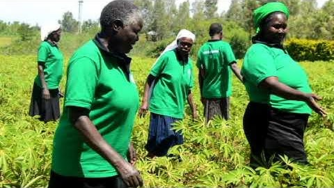 Crop Diversification Coping with Extreme Weather Events