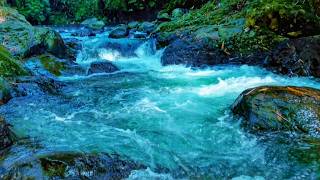 Waterfall Gentle Stream Sound in Forest 24/7 🌿 Flowing Water White Noise for Deep Sleep