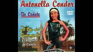 Versión 3 del video