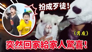 草泥馬闖進家裏變身野生動物surprise家人【回馬計劃】