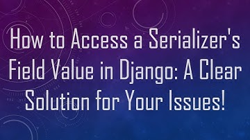 How to Access a Serializer