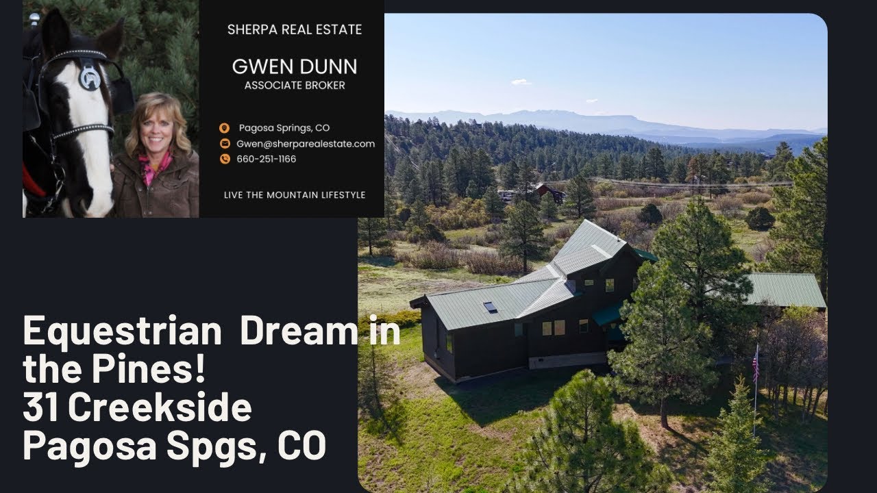 Equestrian Dream in the Pines