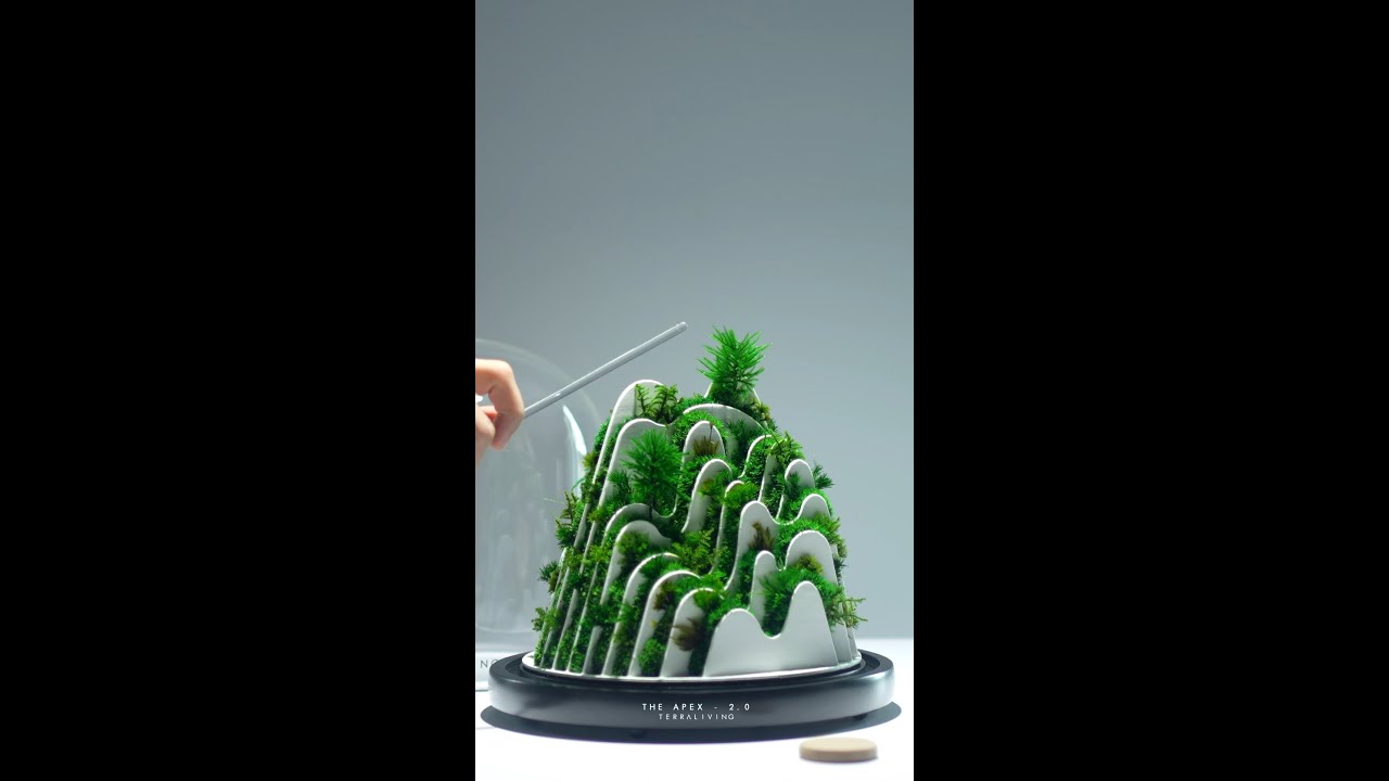 Soft and fluffy moss in a parametric sculpture by TerraLiving