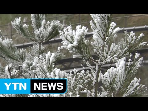 [날씨] 찬 바람 쌩쌩, 기온 뚝...주말 추위에 산간 대설 / YTN