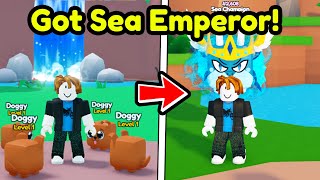 F2P Noob Beat Game & Got Secret Sea Champion In Pet Catchers! (Roblox)