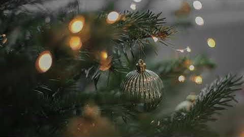 Interactive AV Solutions - Thank You to Our Channel Partners & End Users