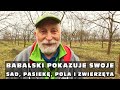 Babalski pokazuje swoje sad, pasiekę, pola i zwierzęta - BioBabalscy część druga