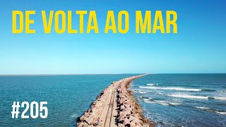 Velejando de volta a água salgada | #SAL #205