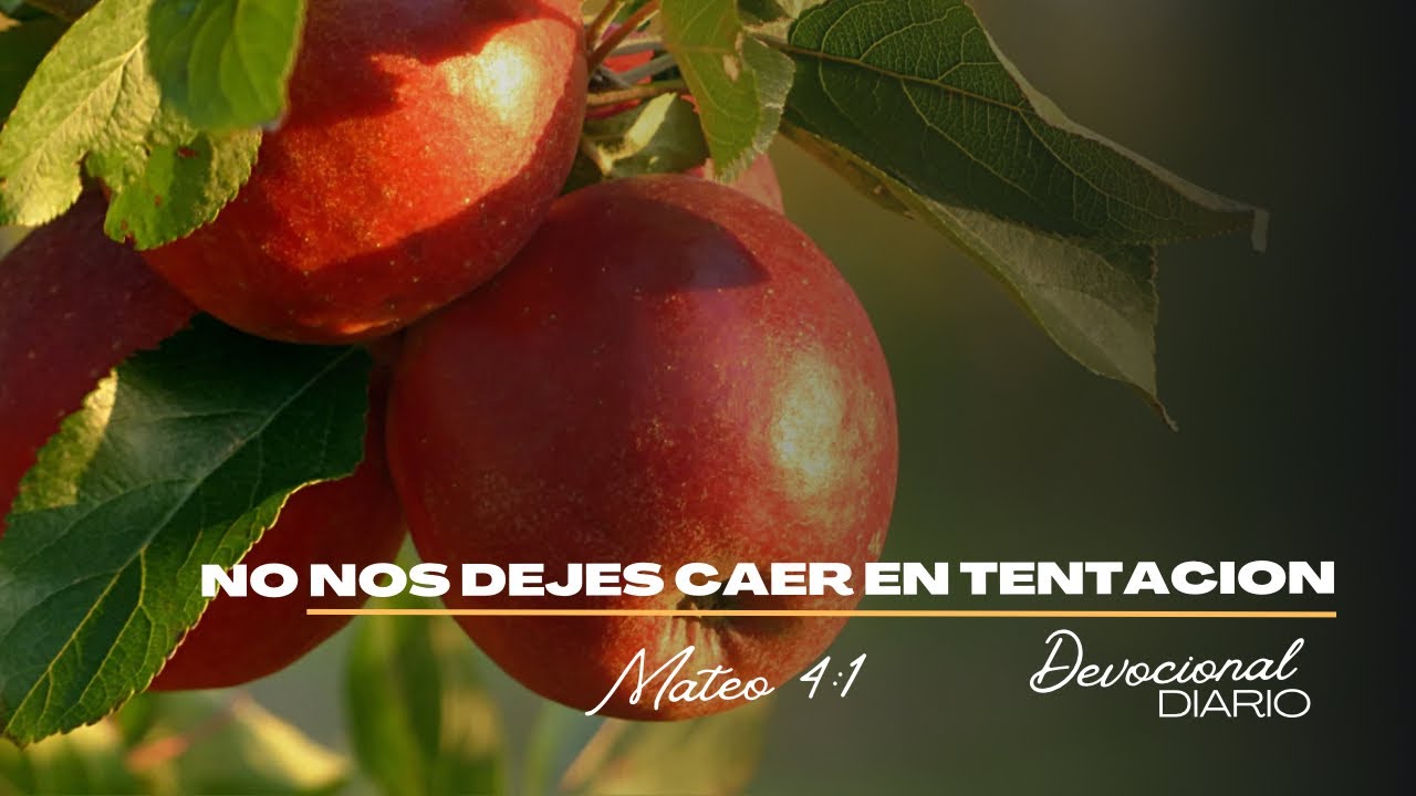 NO NOS DEJES CAER EN TENTACIÓN | DEVOCIONAL DIARIO - YouTube