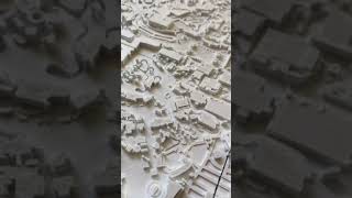 Disneyland DL California Adventure 3D map model 2021 Anaheim resort printed relief