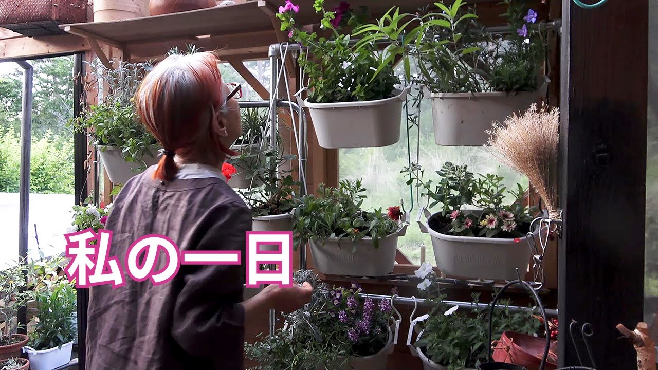 С началом дня, когда птицы в лесу поют и просыпаются,