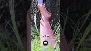 Mossberg 500 – The King of Pump Shotguns 🔥 #gunreview #tacticalgear #america #usa