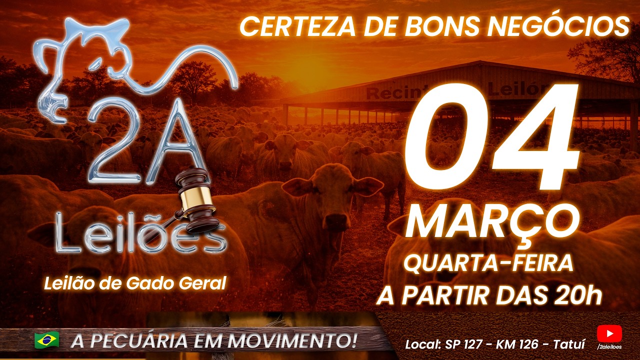 Leilão Virtual 2A LEILÕES - Credibilidade e Qualidade - 04/03/2026