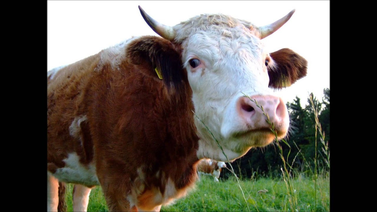 Pharrell Williams - Happy (Yanis.S Remix)