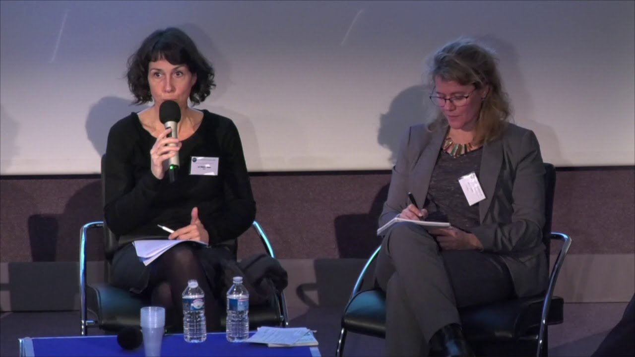 CNRS, 8 mars 2018 : "Les chercheuses de demain". Table ronde : quelles pistes d'action?