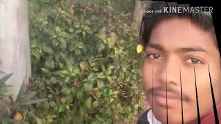 Dj sanjeev Raj road show dj