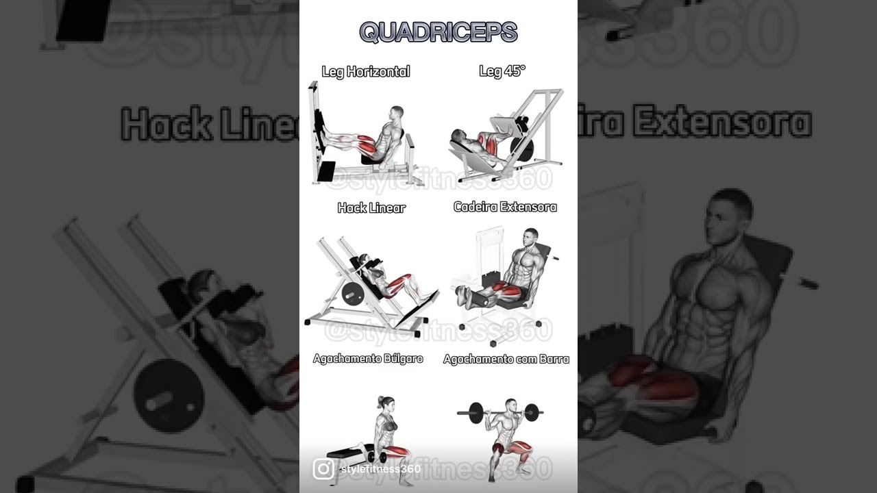 TREINO QUADRÍCEPS