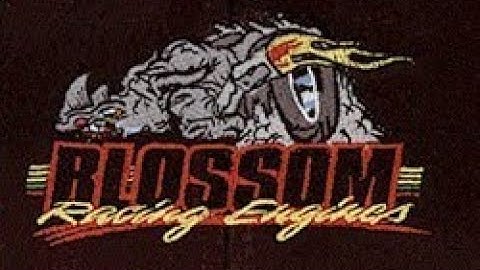 HEAD TORQUE, Blossom Racing, Junior Dragster, Jr Dragster. Rhino.