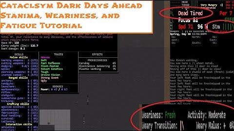 New Weariness Mechanic (Stamina, Weariness, Fatigue Guide) - Cataclysm Dark Days Ahead Tutorial