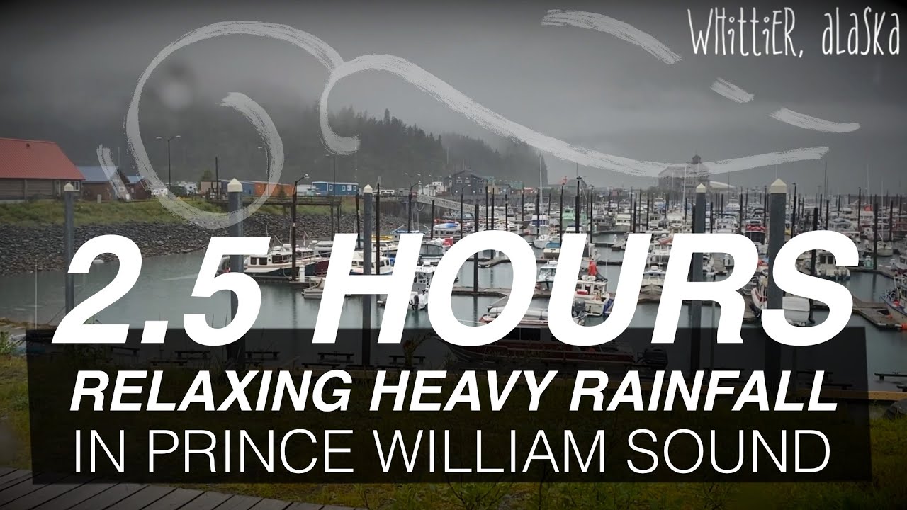 2.5 Hours of Heavy Rain Sounds No Talking Boat Harbor Coast Town