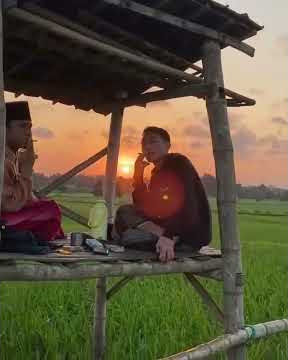 INDIE STORY , PERSAWAHAN , SUNDA STORY ALAM SEJUK SUNYI INDAH
