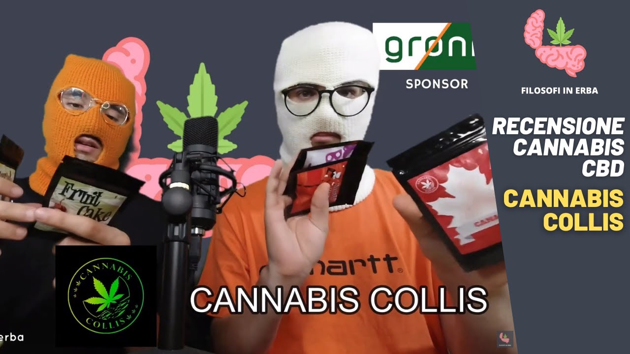 CANNABIS COLLIS | Caramel Candy 🍬 & Fruit Cake 🍰