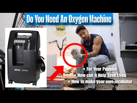 Do You Need An Oxygen Machine / For Your Puppies thumbnail