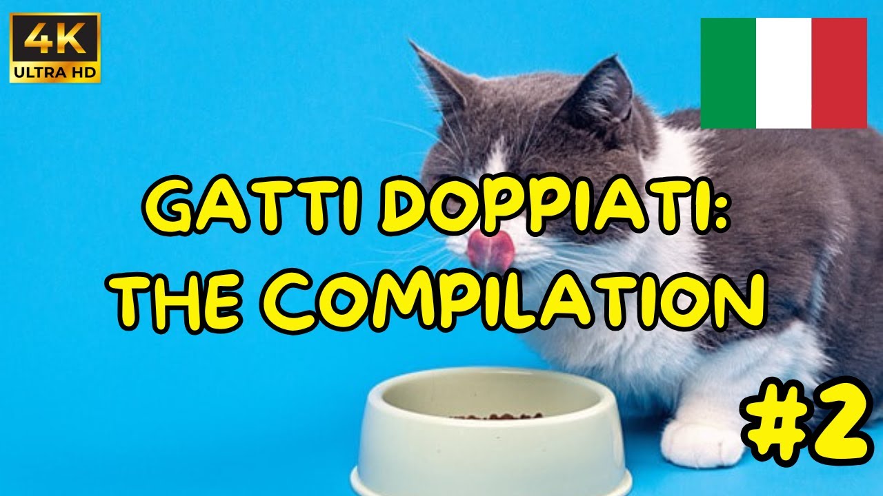 GATTI DOPPIATI - THE COMPILATION - EP.2