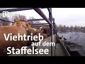 Bootspartie mit Kühen: Viehtrieb auf dem Staffelsee | Schwaben & Altbayern | BR Fernsehen