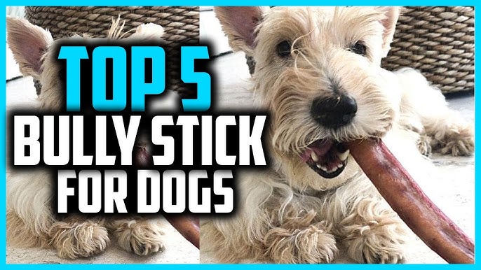  BoniVet 2023 Upgraded Bully Stick Holder for Dogs, Chew  Holder, Prevent Choking Safety Device-Small… : Pet Supplies