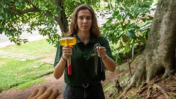 How to Install Geotextile for Erosion Control