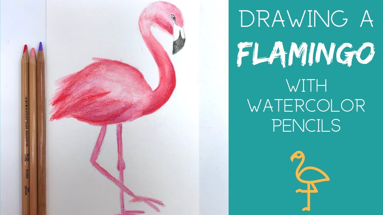 Hand drawn sketch pink flamingo set Royalty Free Vector