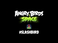 Angry Birds Space SlashBird