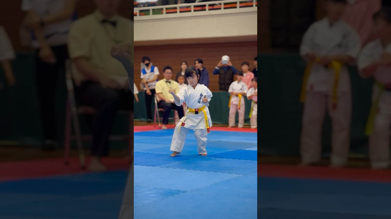 太極その三 #kyokushin - YouTube