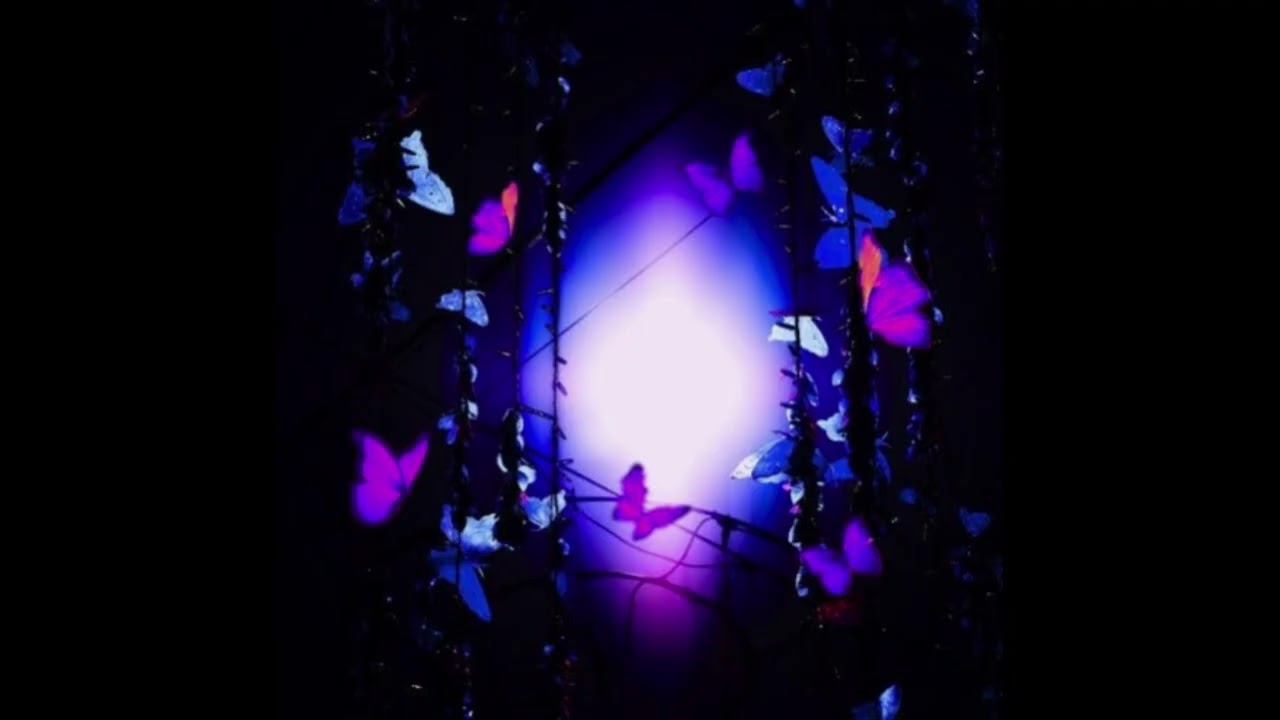 Lavender Haze - In The Garden 