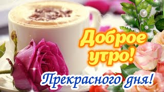 С Добрым утром! 🪷 Прекрасного дня и хорошего настроения! 🌺 Красивая открытка #пожелания