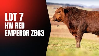 Lot 7 Hw Red Emperor Z863